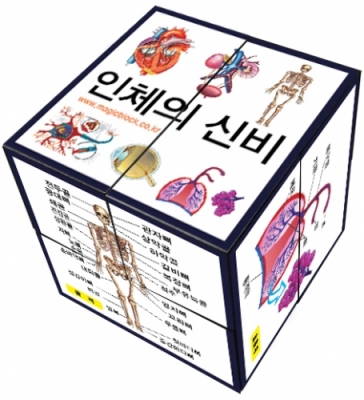 [매직블럭] 인체의 신비 (5인 1set)