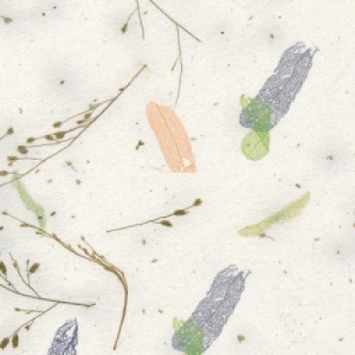 [예한] 응용한지2 상록수지(색상 선택)