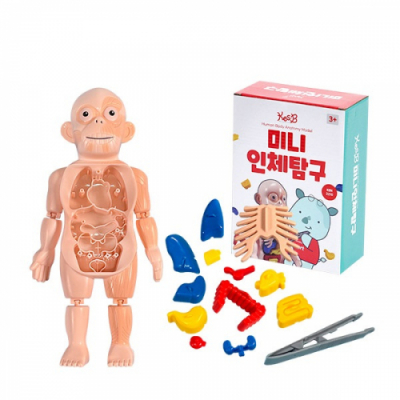 [캐스B] 네이처 미니 인체탐구 (2210)