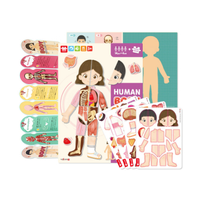 [아리아띠] 휴먼 바디 맵 인체지도 ver.2