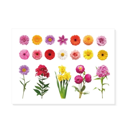 [피오피스토리]압화그림스티커