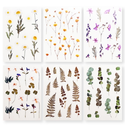 [피오피스토리]플라워 투명압화스티커(6종 택1)