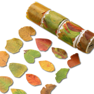 [도토리클래스] 단풍 마스킹 테이프 (4종 택1)