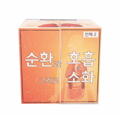 [에듀메이드]인체/ 순환과 호흡 그리고 소화  매직큐브 만들기