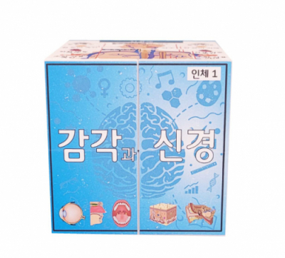 [에듀메이드] 인체/ 감각과 신경  매직큐브 만들기