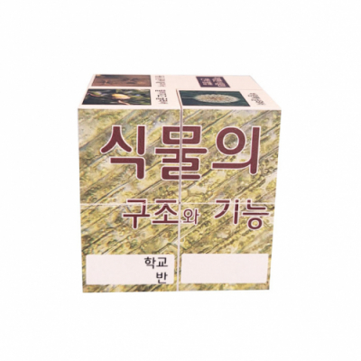 [에듀메이드]6-1 과학 / 식물의 구조와 기능(스티커 주문제작, 3인용)