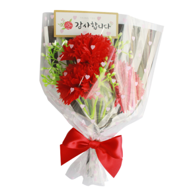 [잼잼아트] 카네이션 꽃다발 (2색 택1)