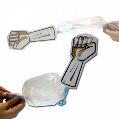 [HS] 뼈와 근육모형만들기(팔근육만들기/똑딱단추포함, 1인용/5인용)