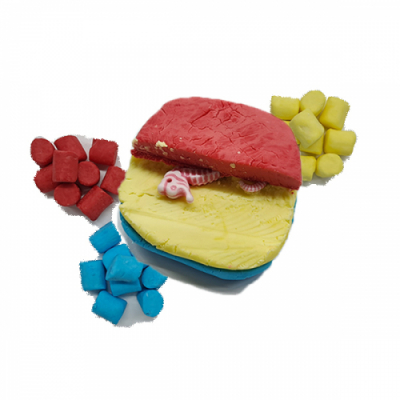 [HS] 층층이 비누만들기-5인용(아이스크림)