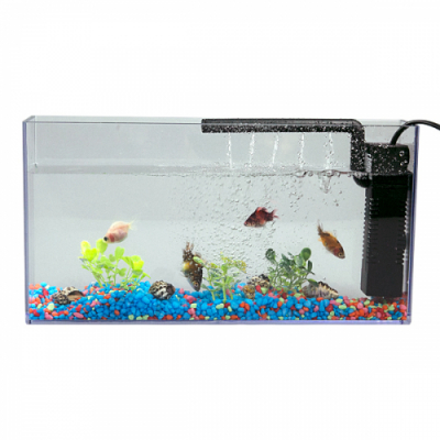 [와니사이언스] 작은 공간 어항 꾸미기(측면 여과기 포함)