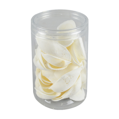 [와니사이언스] 조개껍데기(200g, 약35개)(실물 화석 만들기 용, 케이스입)