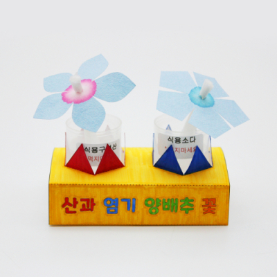 산과 염기 양배추 꽃 만들기
