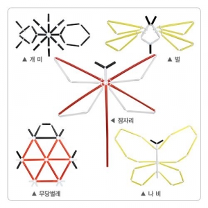 [포디프레임] 곤충(평면)SET