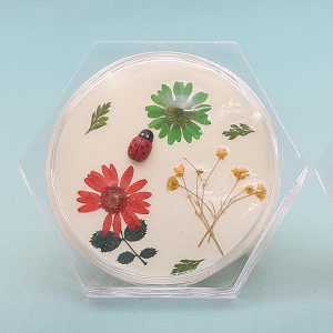 [펠트친구] 압화공예 육각받침대 만들기(누름꽃공예)