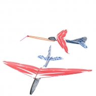 2in1 빅버드글라이더(비행기양력의원리)