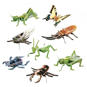 [스콜라스] 곤충 8종 만들기 (수업자료, 활동지 무료제공)