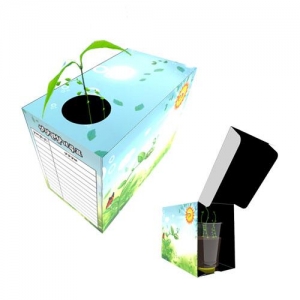 빛을 따라 자라는 식물관찰화분(1인용/5인용)