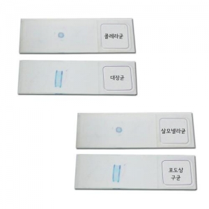 [와니사이언스] 여러가지세균 프레파라트(4종1조)